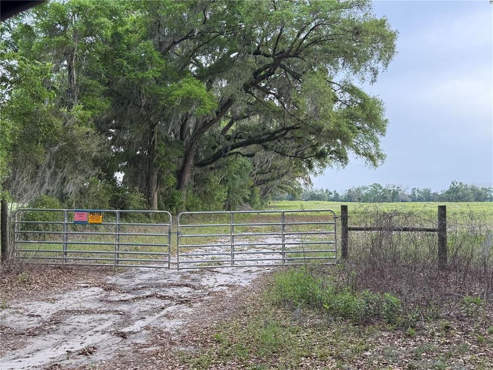 For Sale: $295,000 (5.00 acres)
