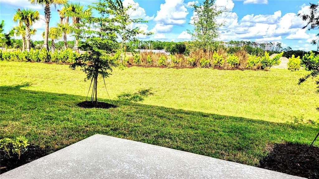 В аренду: $2,200 (3 спален, 2 ванн, 1373 Квадратных фут)