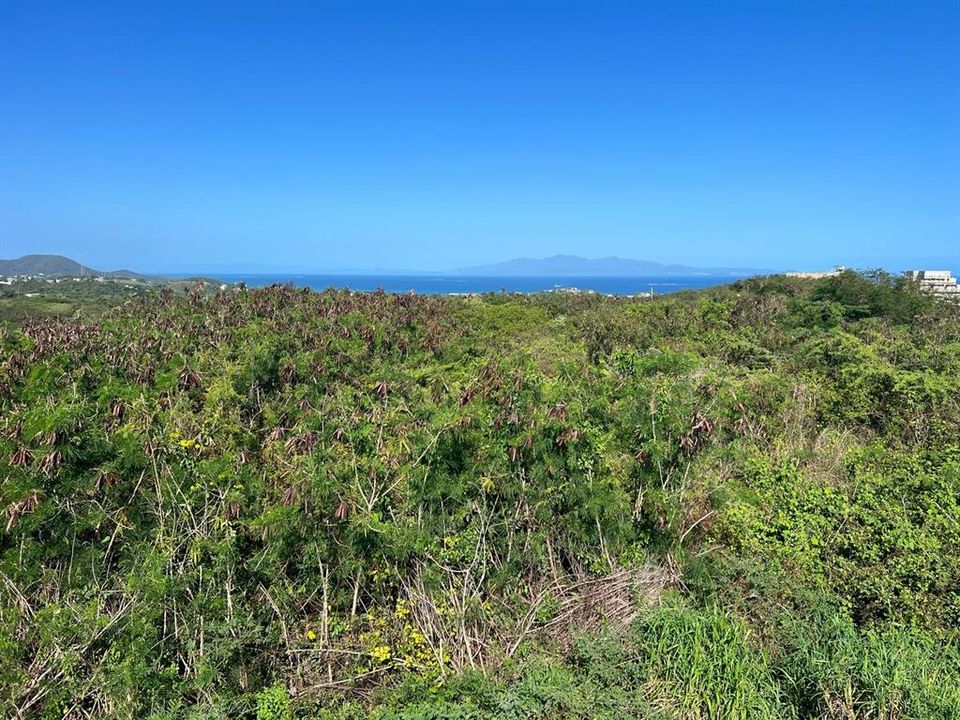 For Sale: $274,999 (0.95 acres)