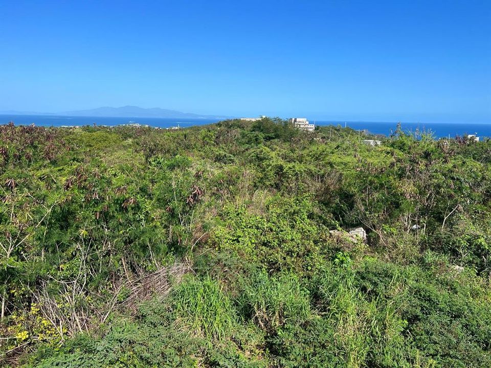 For Sale: $274,999 (0.95 acres)