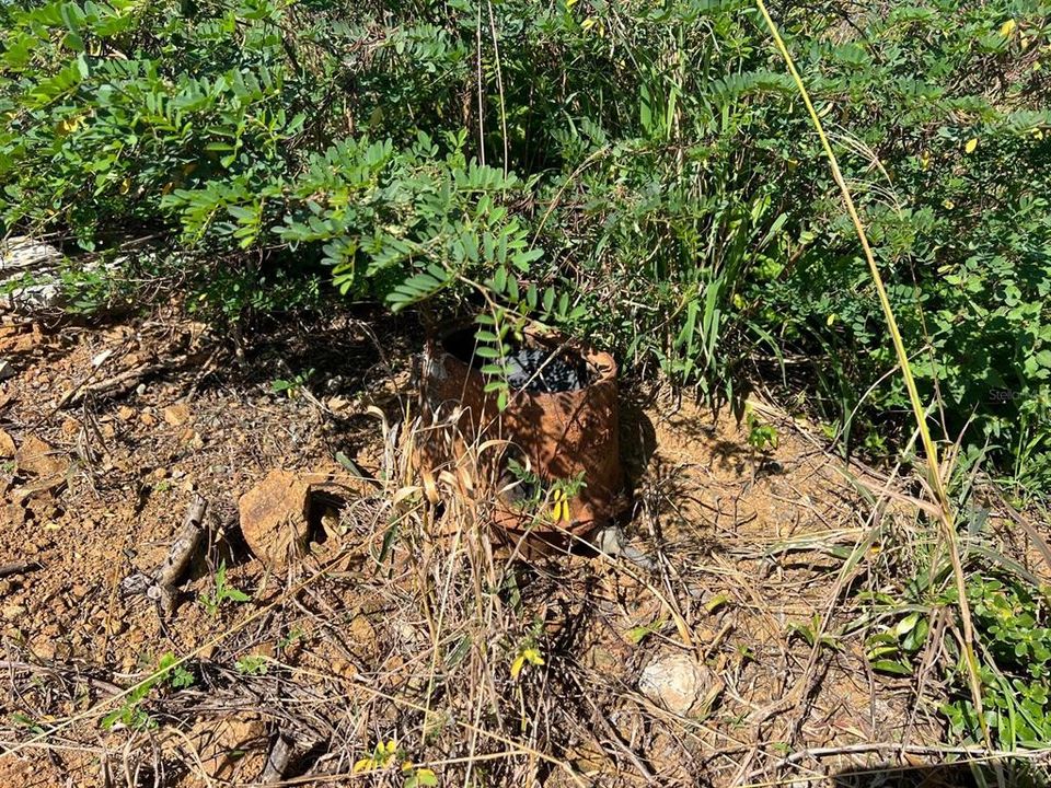 For Sale: $274,999 (0.95 acres)