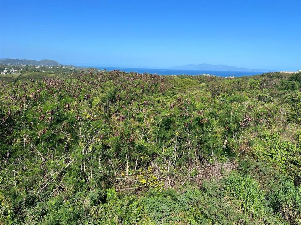 For Sale: $274,999 (0.95 acres)