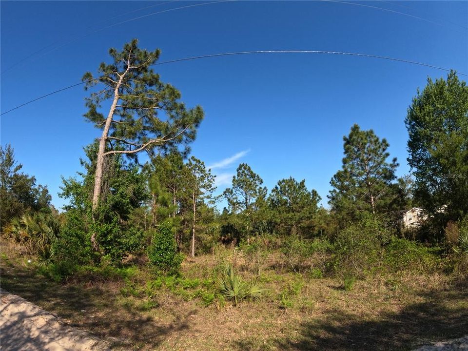 На продажу: $39,000 (2.45 acres)