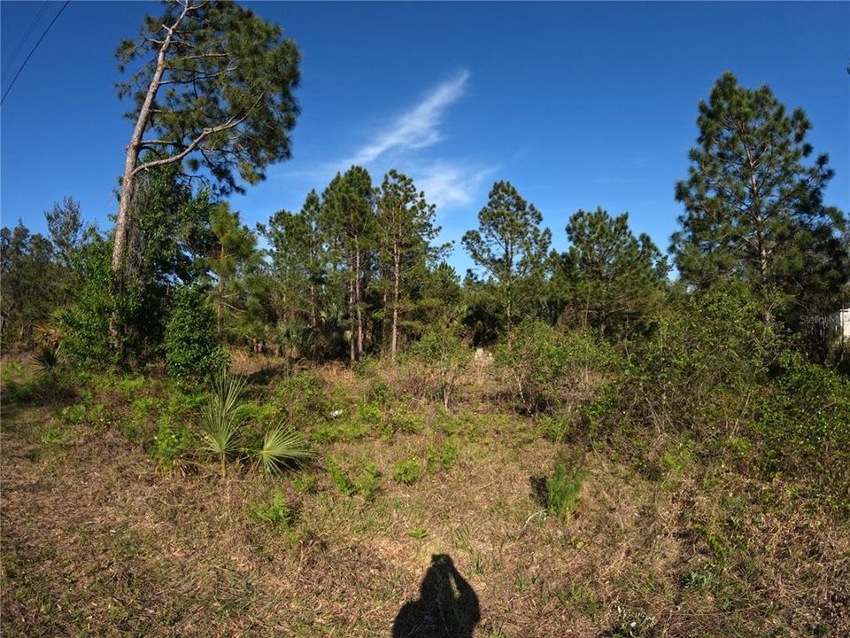 На продажу: $39,000 (2.45 acres)