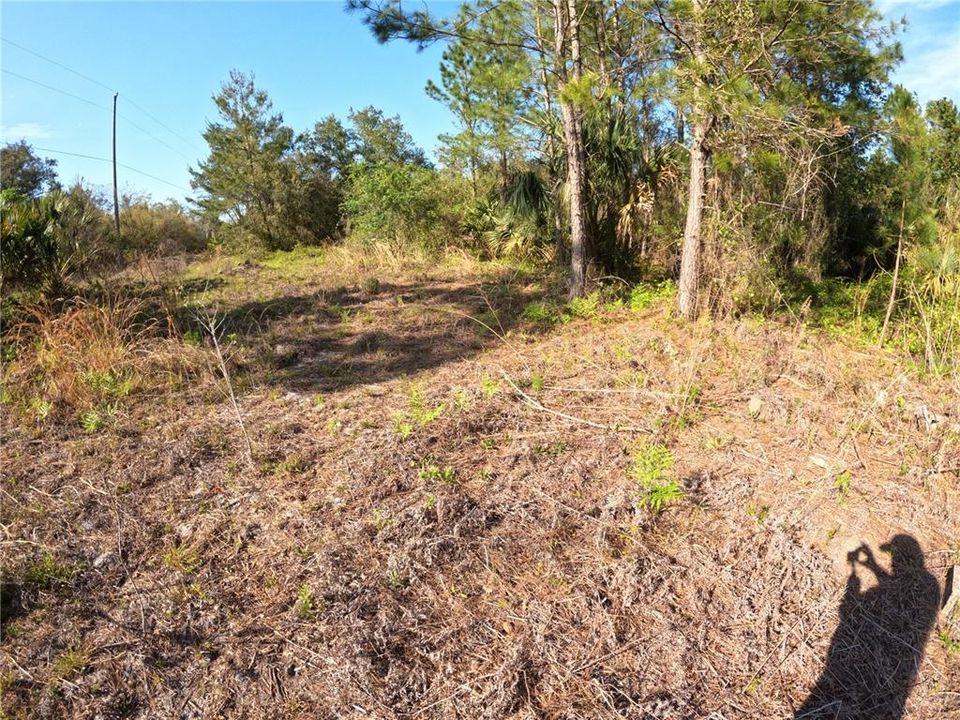 На продажу: $39,000 (2.45 acres)