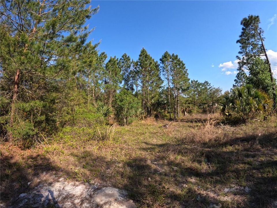 На продажу: $39,000 (2.45 acres)