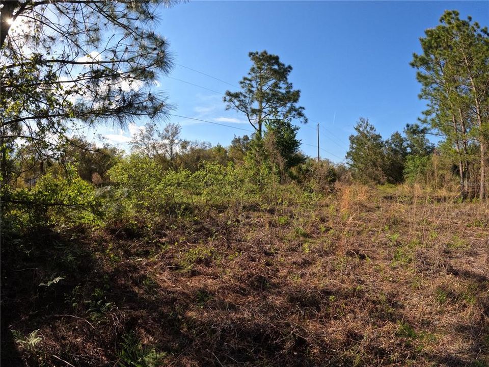 На продажу: $39,000 (2.45 acres)