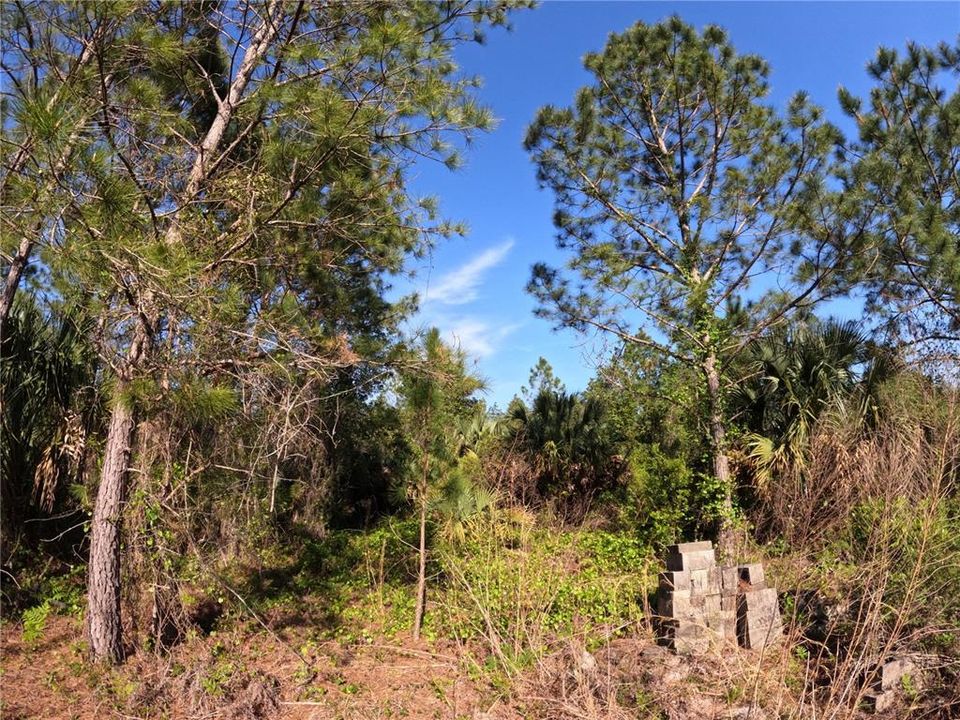 На продажу: $39,000 (2.45 acres)