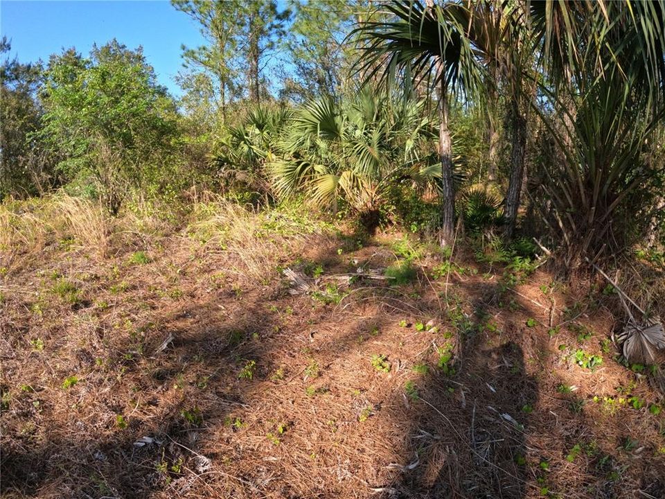 На продажу: $39,000 (2.45 acres)