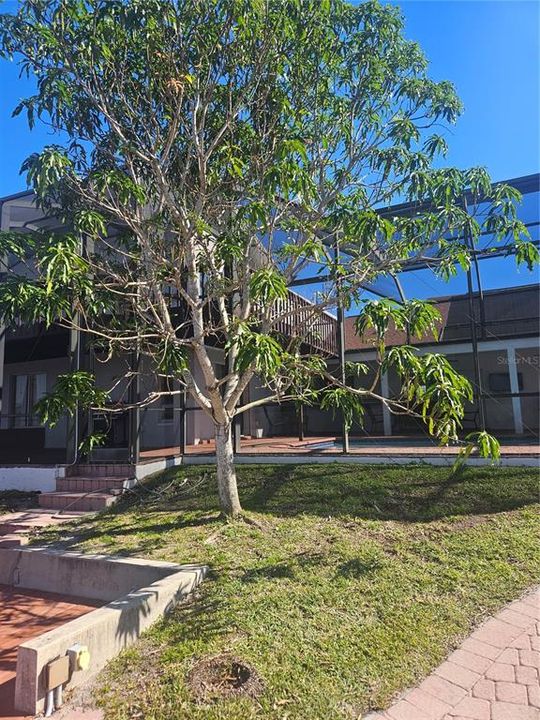 待售: $980,000 (4 贝兹, 4 浴室, 2647 平方英尺)