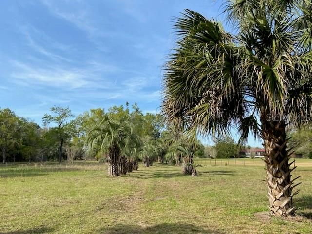 На продажу: $225,000 (6.40 acres)