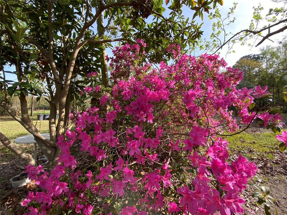 На продажу: $225,000 (6.40 acres)