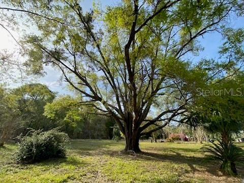 На продажу: $225,000 (6.40 acres)