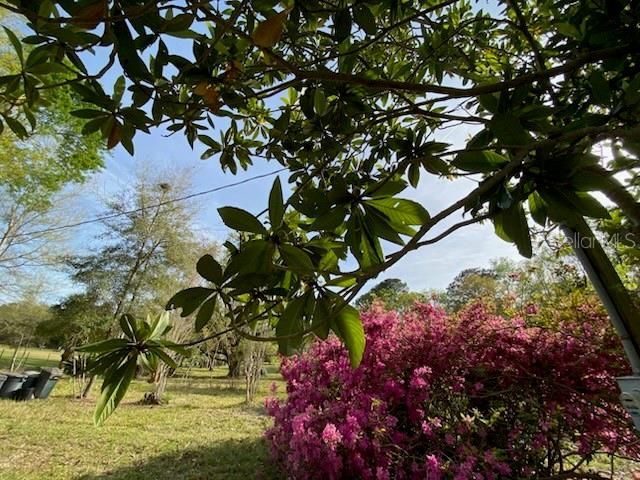 На продажу: $225,000 (6.40 acres)