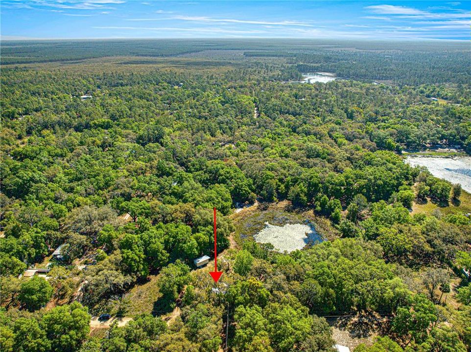 待售: $115,000 (2 贝兹, 1 浴室, 784 平方英尺)