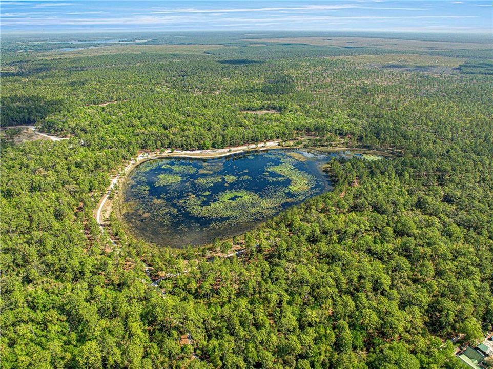 待售: $115,000 (2 贝兹, 1 浴室, 784 平方英尺)