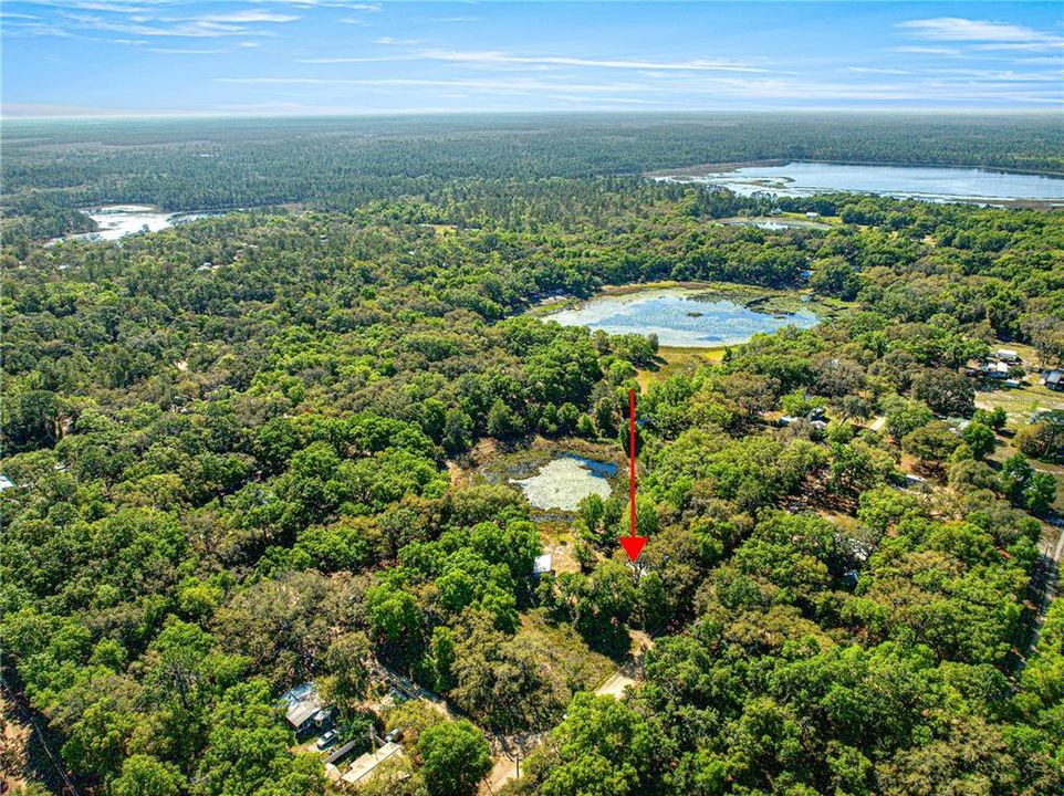 待售: $115,000 (2 贝兹, 1 浴室, 784 平方英尺)