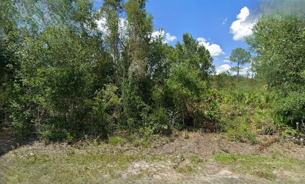 Recently Sold: $19,000 (0.25 acres)