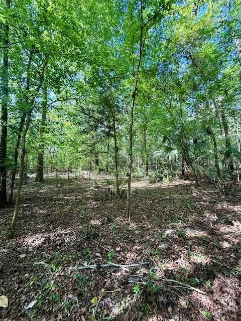 最近售出: $55,000 (2.10 acres)