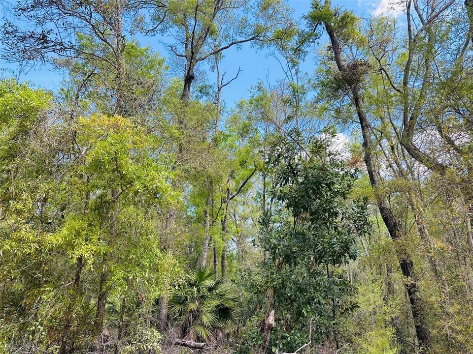 待售: $460,000 (40.00 acres)