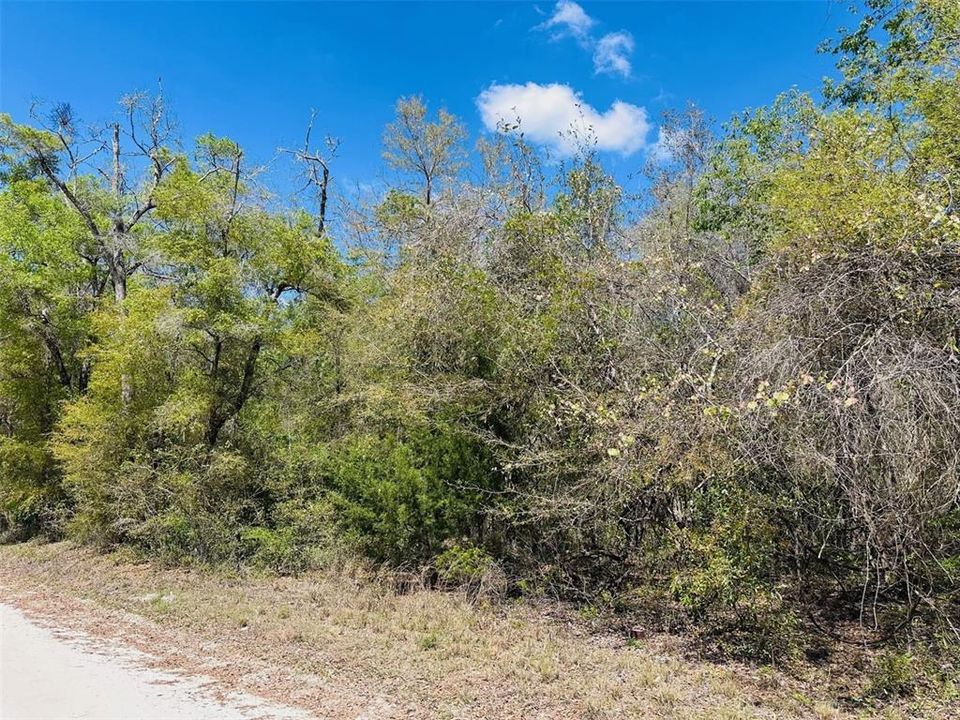 待售: $460,000 (40.00 acres)