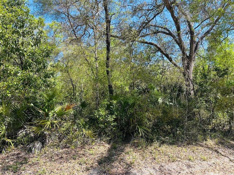 待售: $460,000 (40.00 acres)