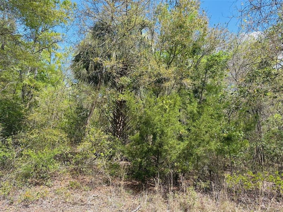 待售: $460,000 (40.00 acres)