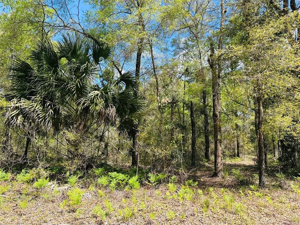 待售: $460,000 (40.00 acres)