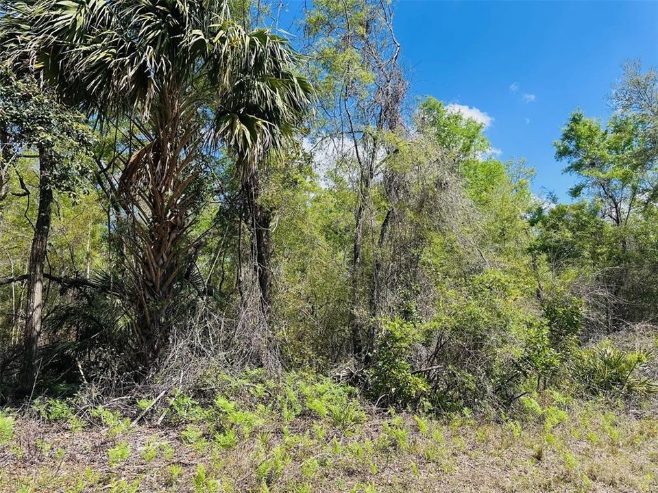 待售: $460,000 (40.00 acres)