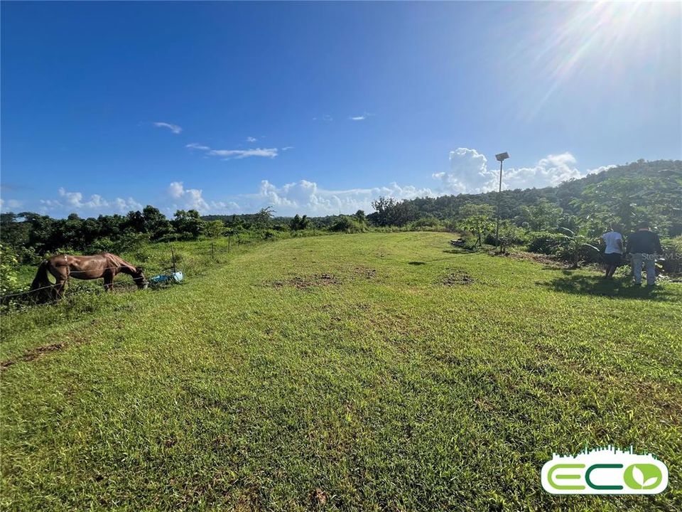 For Sale: $675,000 (16.60 acres)