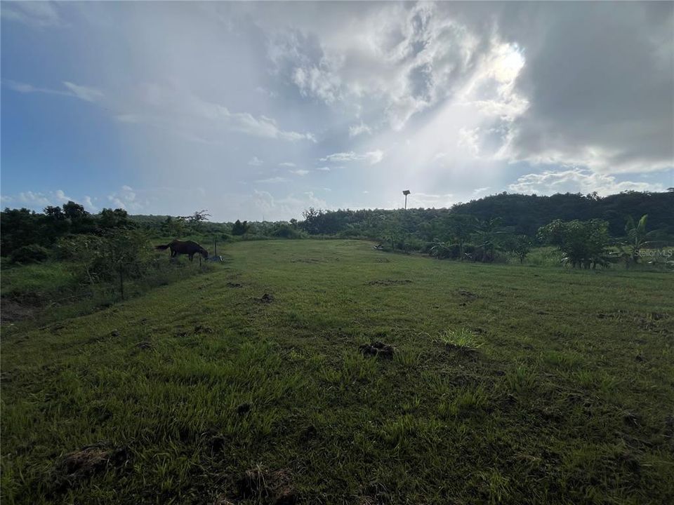 En Venta: $495,000 (16.60 acres)