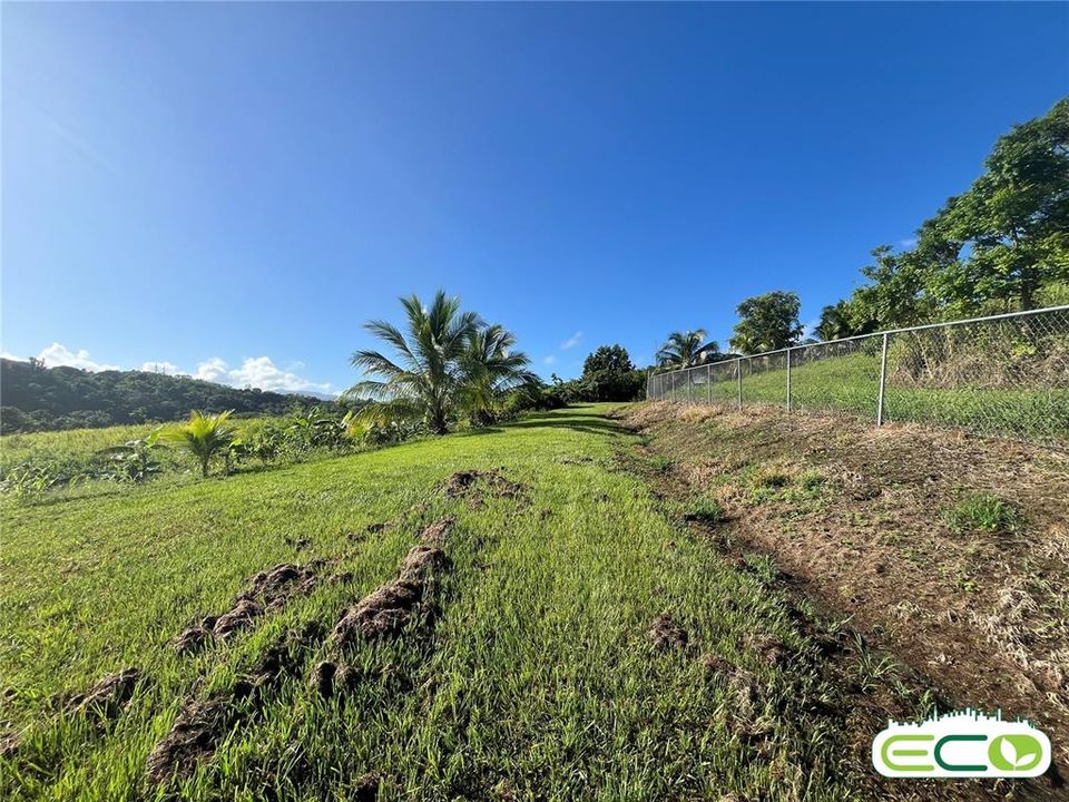 For Sale: $675,000 (16.60 acres)