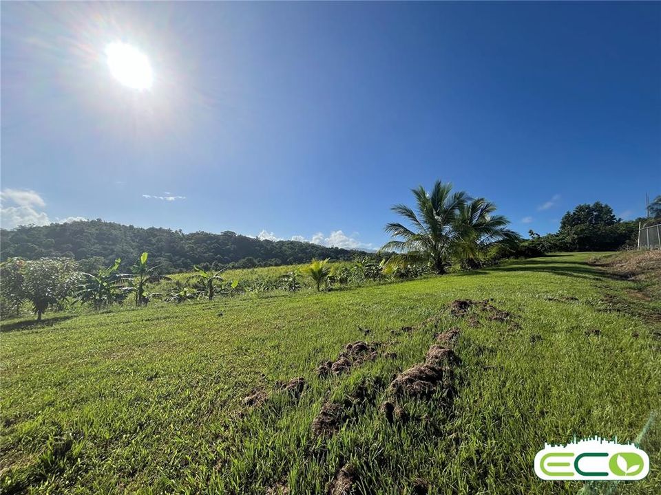 For Sale: $675,000 (16.60 acres)