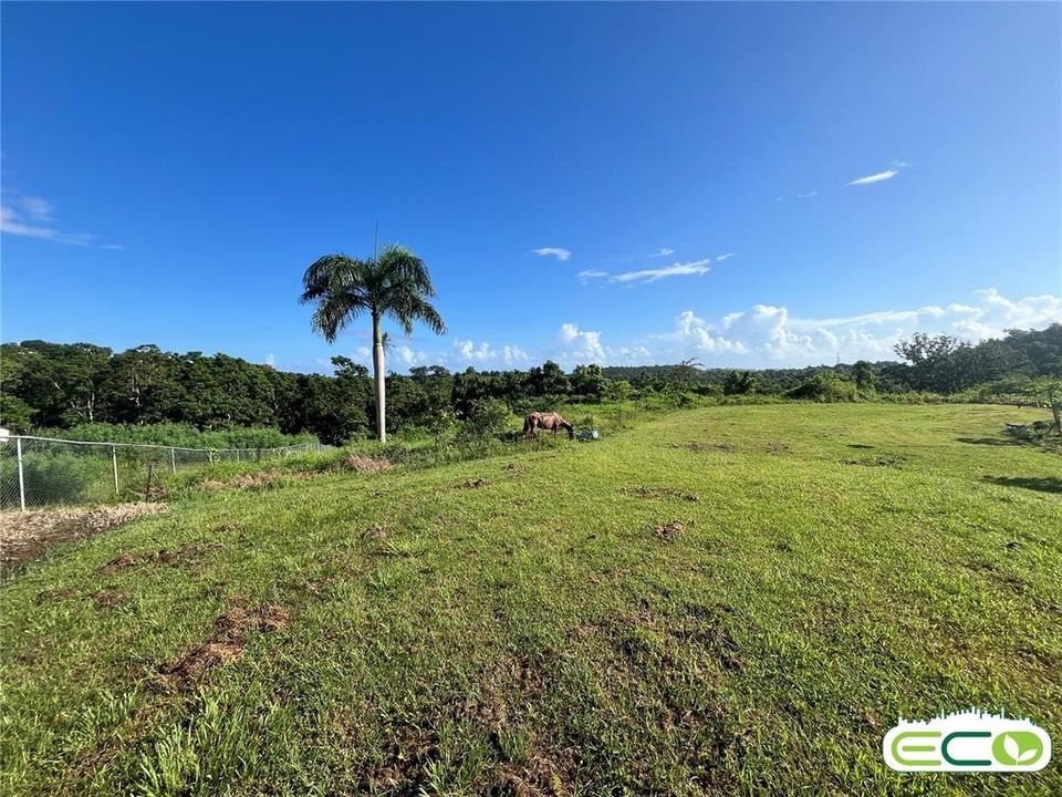 For Sale: $675,000 (16.60 acres)