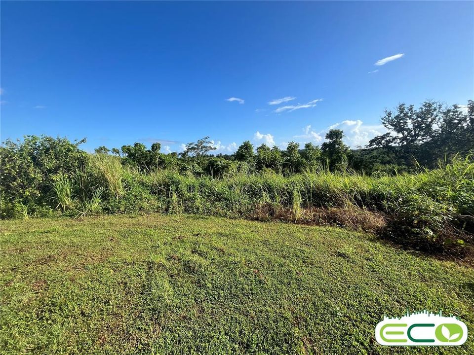 For Sale: $675,000 (16.60 acres)