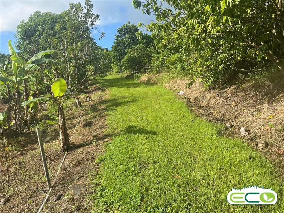 For Sale: $675,000 (16.60 acres)