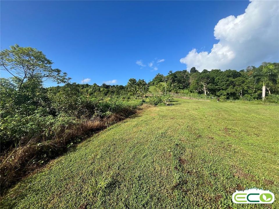 For Sale: $675,000 (16.60 acres)