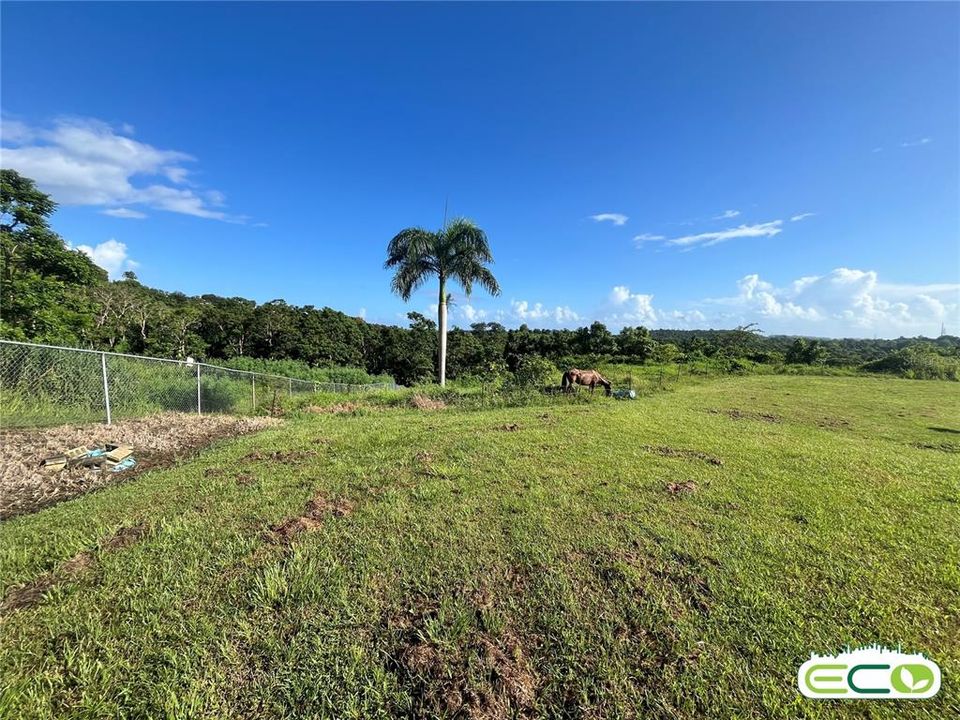 For Sale: $675,000 (16.60 acres)