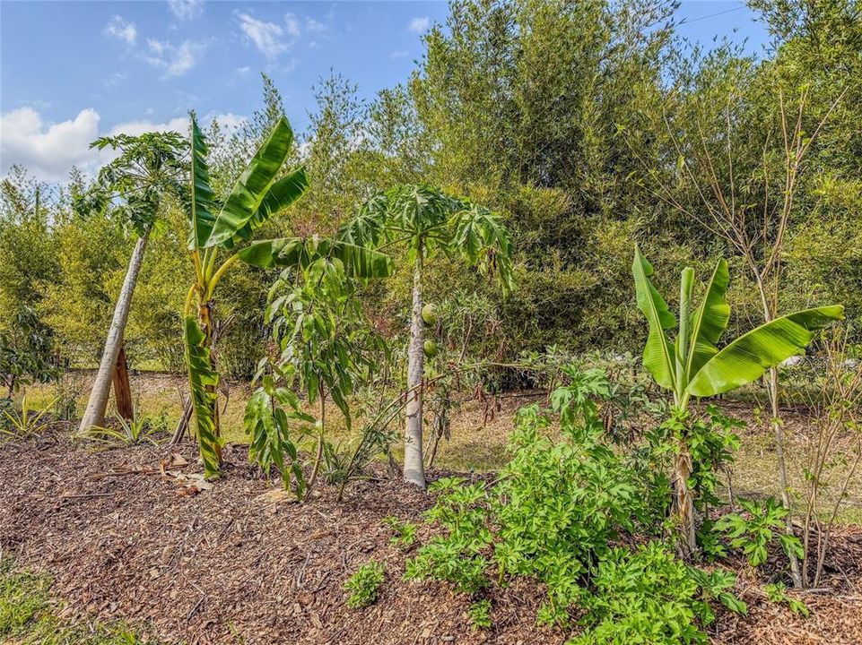 For Sale: $949,000 (4 beds, 3 baths, 2837 Square Feet)