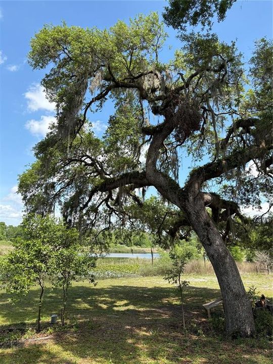 Vendido Recientemente: $40,000 (1.02 acres)