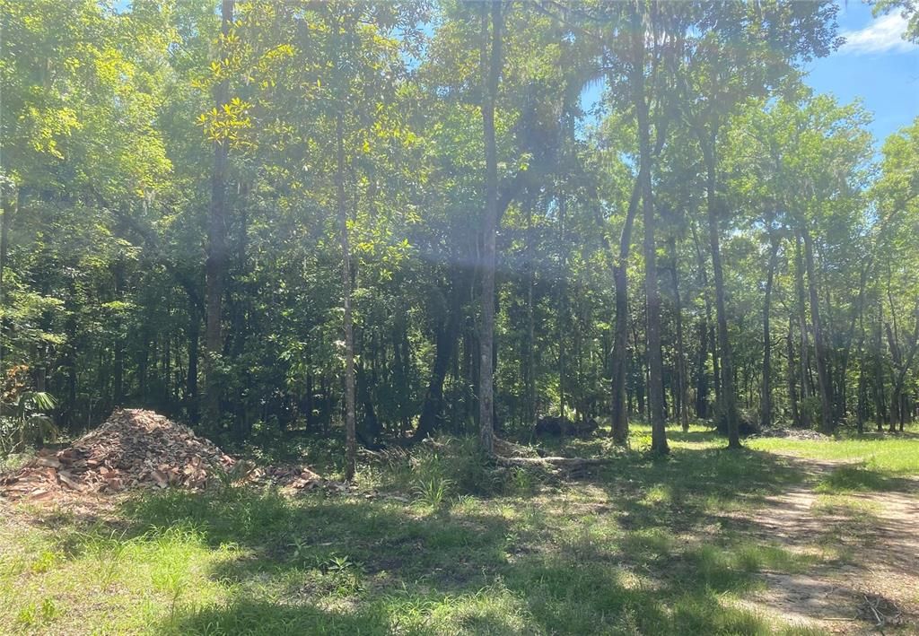 待售: $283,000 (4.50 acres)