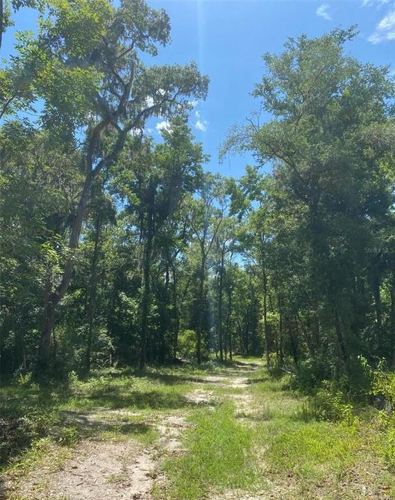 待售: $283,000 (4.50 acres)