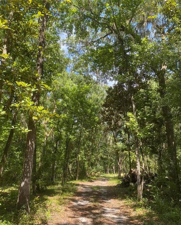 待售: $283,000 (4.50 acres)