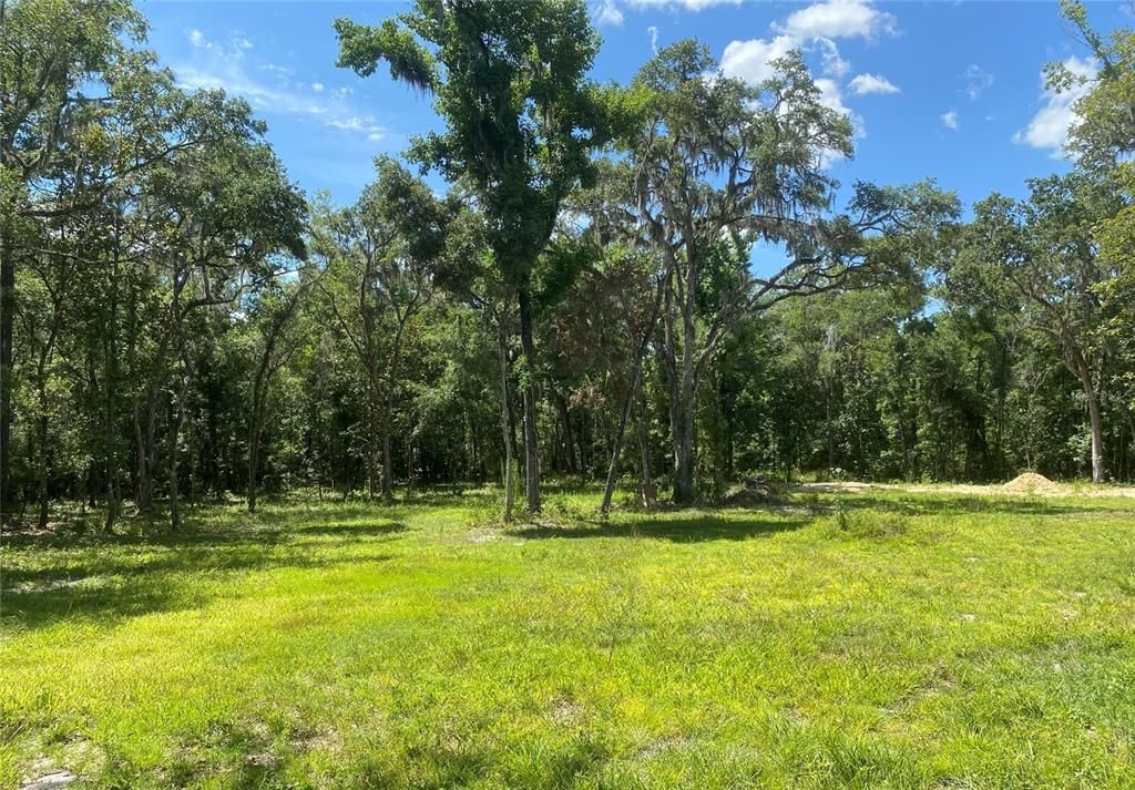 待售: $283,000 (4.50 acres)