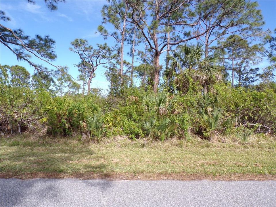 合同活跃: $15,500 (0.23 acres)