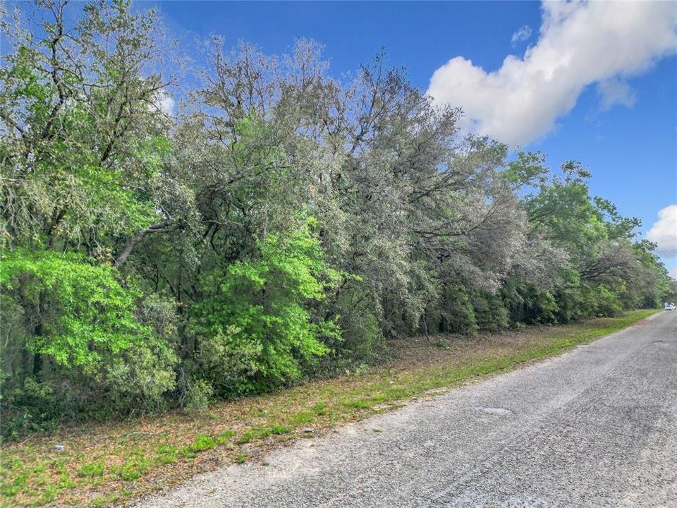 待售: $199,900 (5.25 acres)