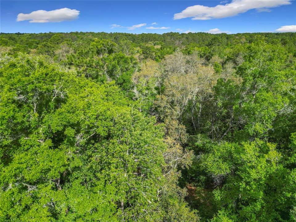 待售: $199,900 (5.25 acres)