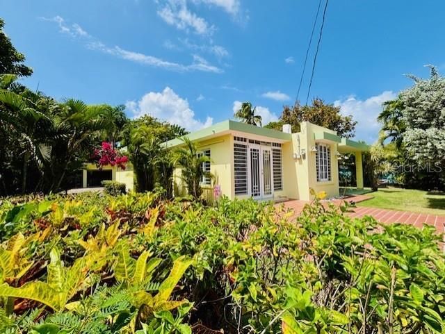 *Casa Amarilla @ Las Croabas