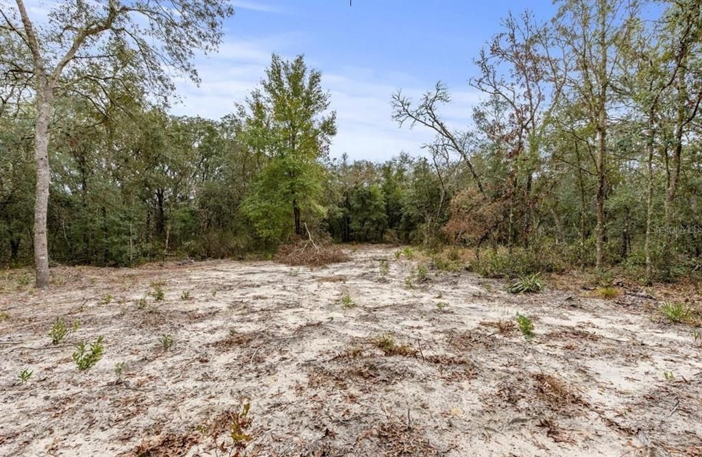 На продажу: $53,999 (2.50 acres)