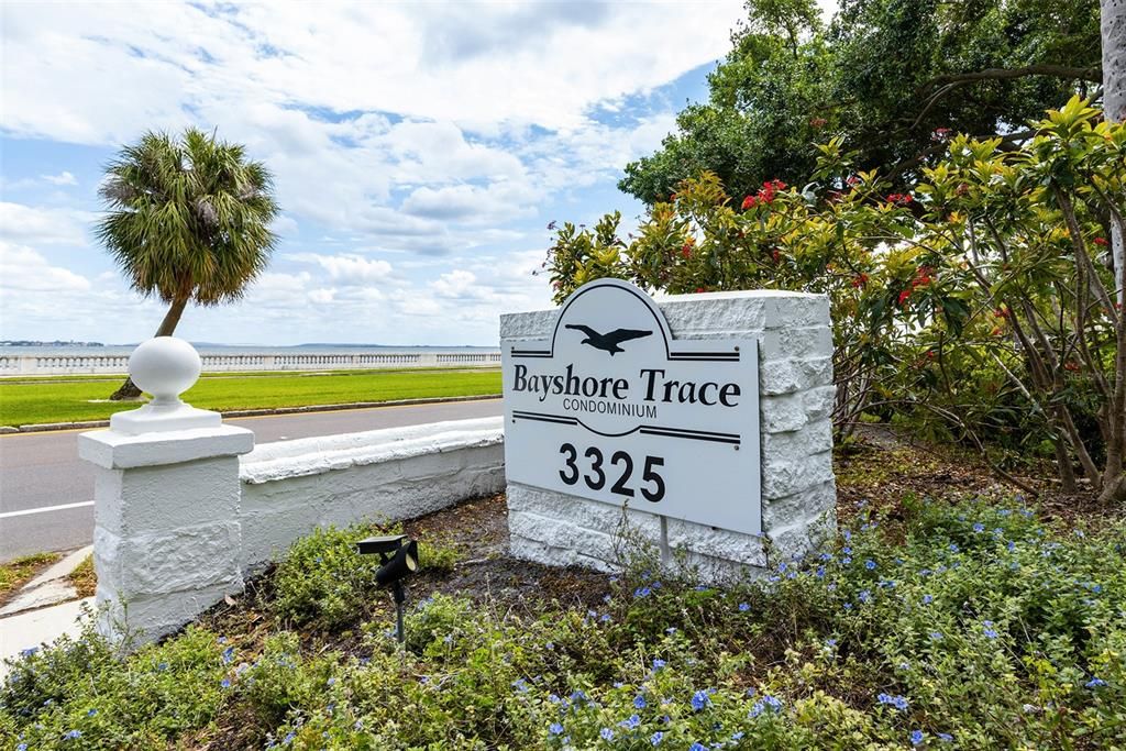 最近租的: $1,700 (1 贝兹, 1 浴室, 728 平方英尺)